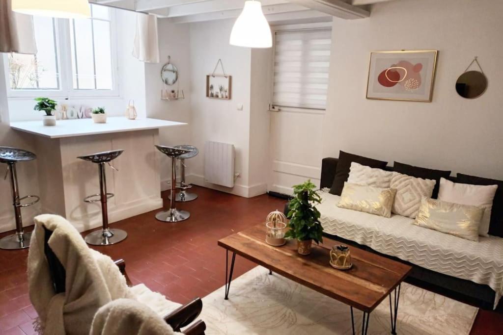 Charmant Duplex En Centre-Ville Λε Μανς Εξωτερικό φωτογραφία