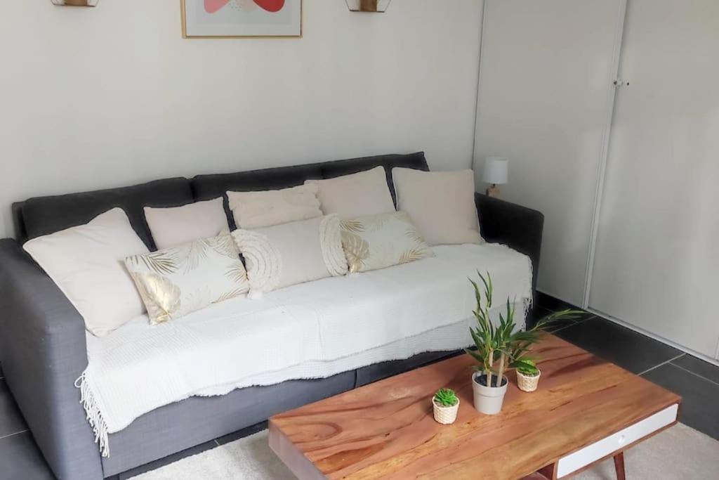 Charmant Duplex En Centre-Ville Λε Μανς Εξωτερικό φωτογραφία